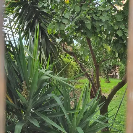 Гостевой дом Bam Bam Tiburtina 4*